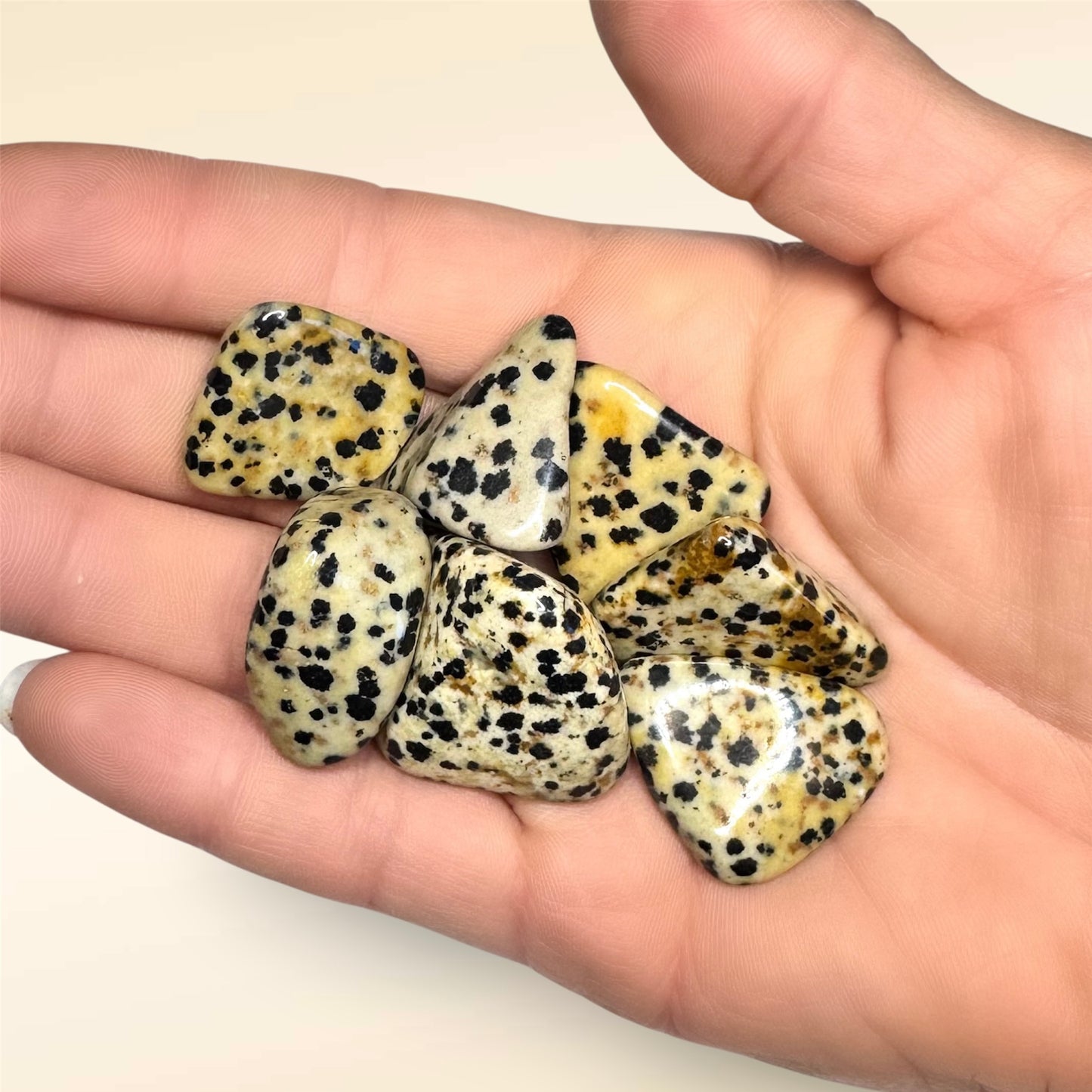 Dalmation Jasper Tumblestone