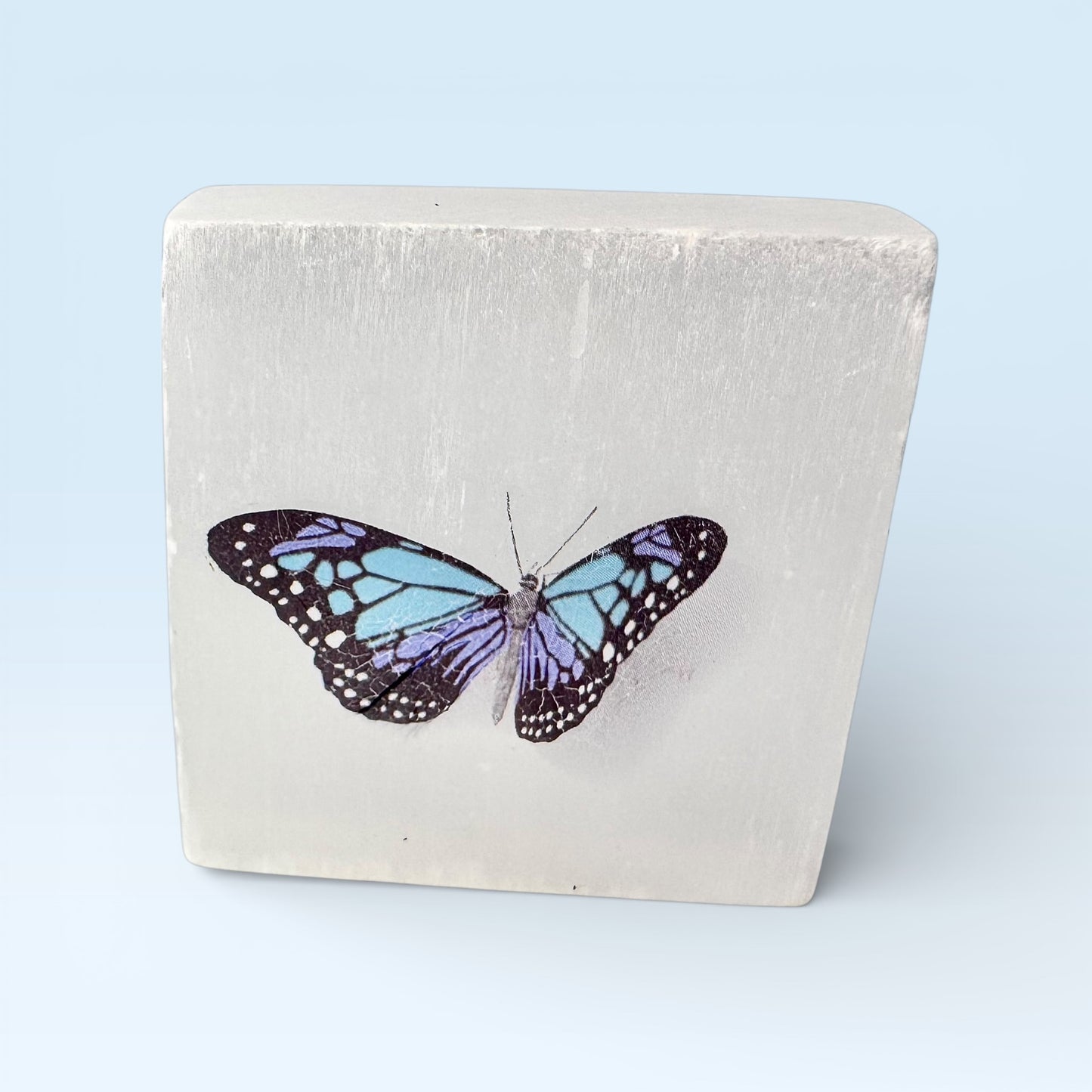 Selenite Square - Blue Butterfly Print (4.5cm)