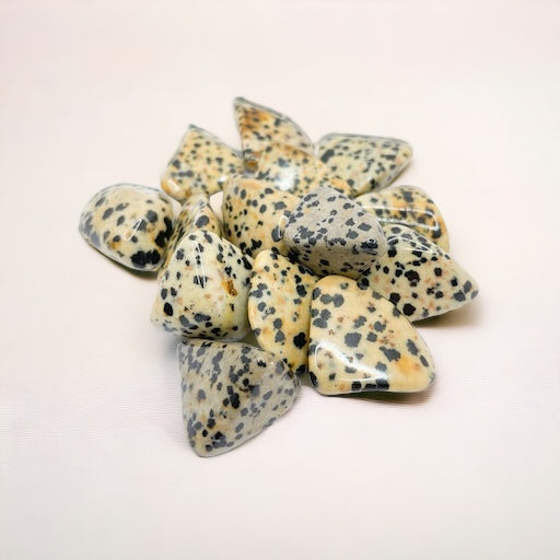 Dalmation Jasper Tumblestone
