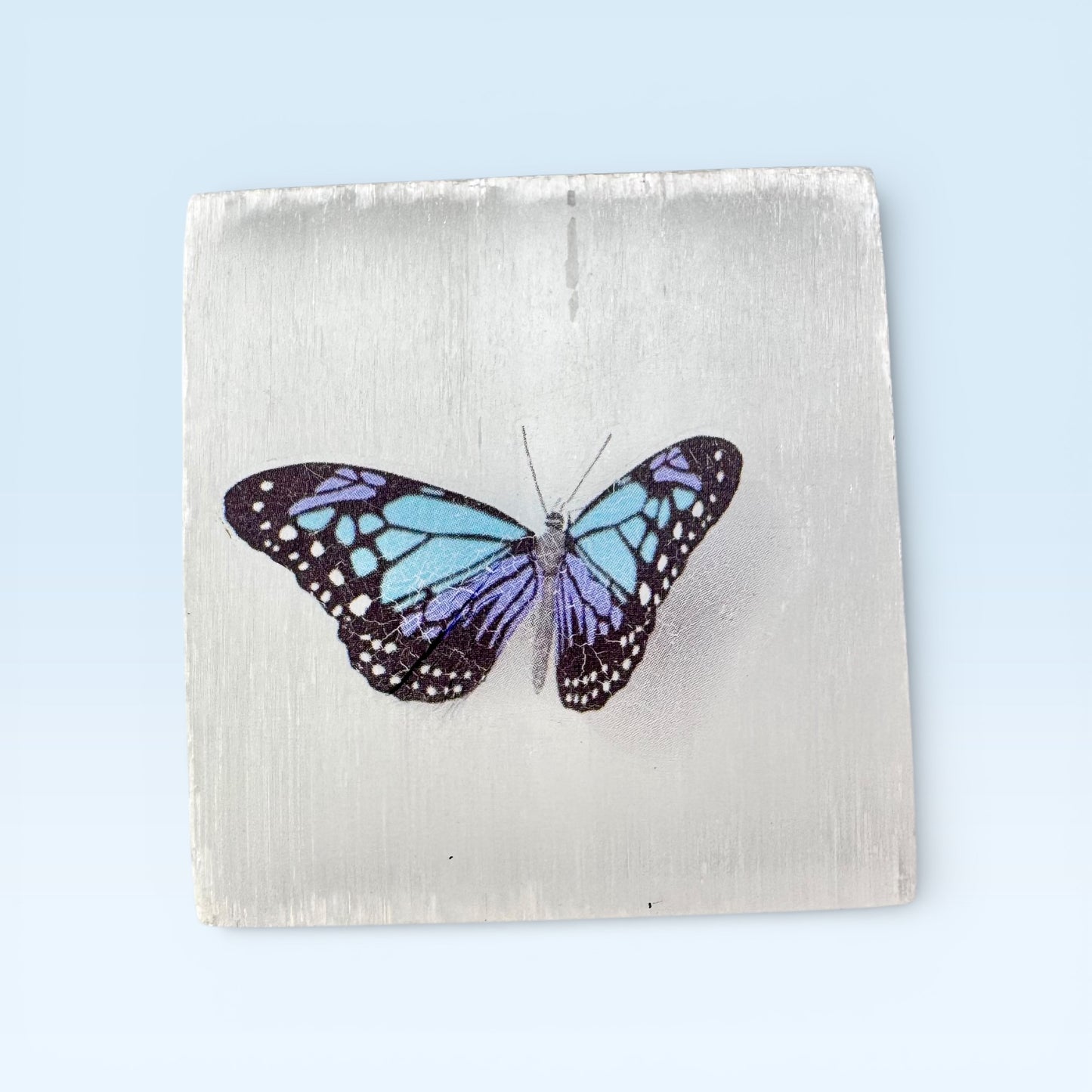 Selenite Square - Blue Butterfly Print (4.5cm)