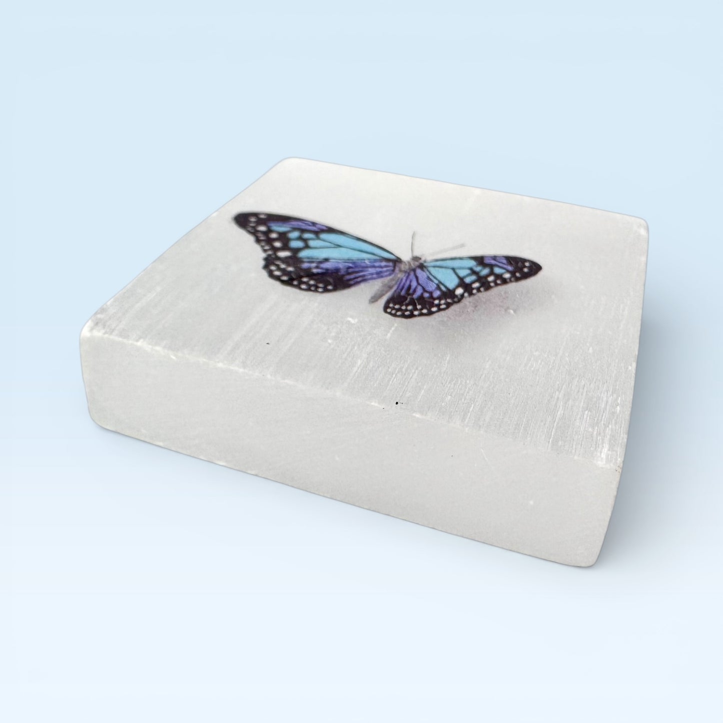 Selenite Square - Blue Butterfly Print (4.5cm)