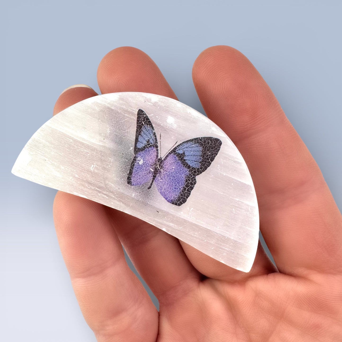 Selenite Semi-Circle - Butterfly (6cm)