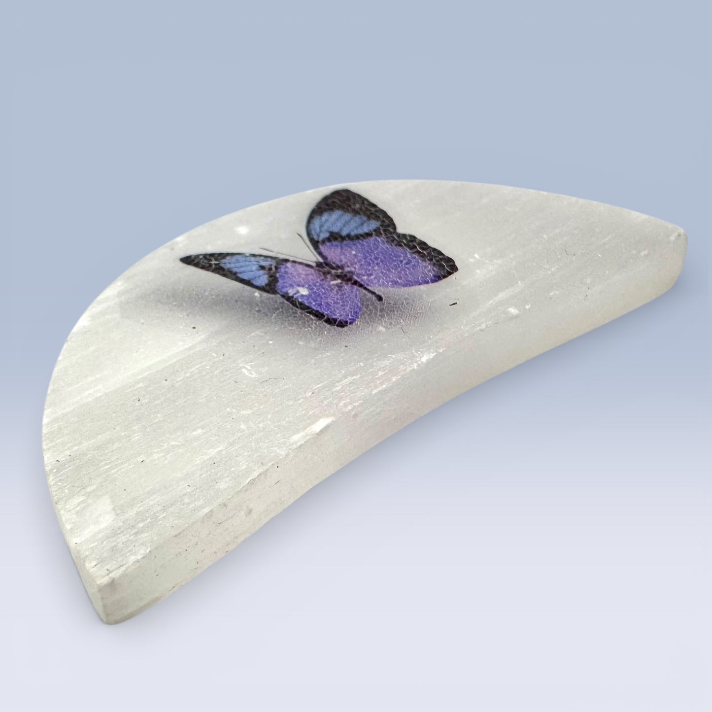 Selenite Semi-Circle - Butterfly (6cm)