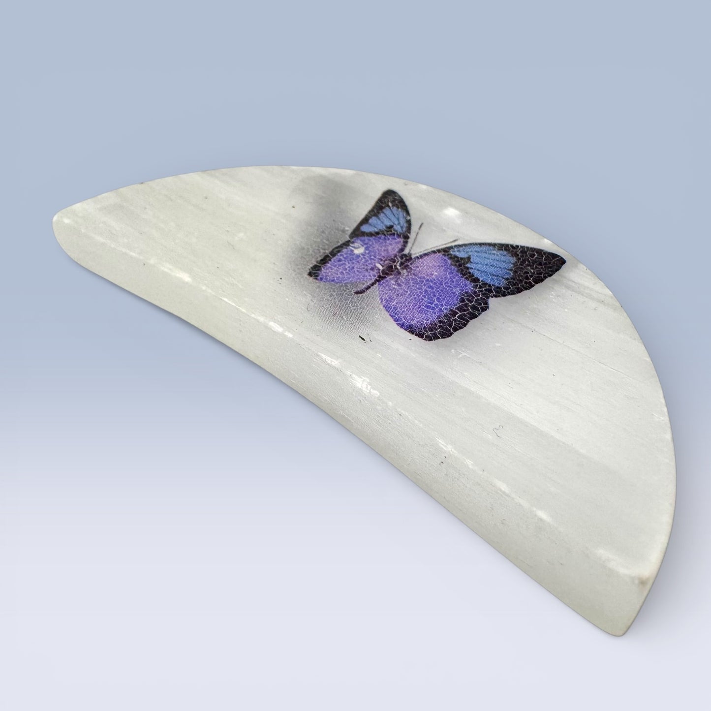 Selenite Semi-Circle - Butterfly (6cm)