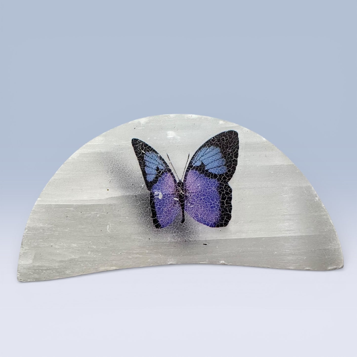 Selenite Semi-Circle - Butterfly (6cm)